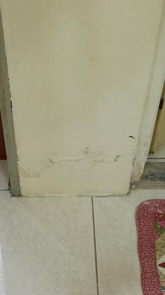 油漆工程案件圖片