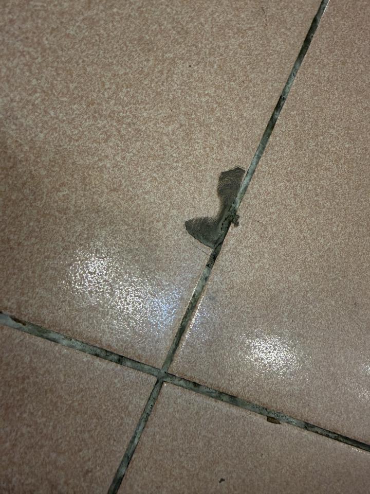 磁磚修補案件圖片