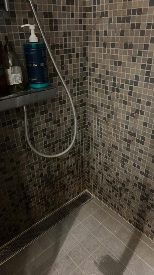 浴室除霉清潔案件圖片