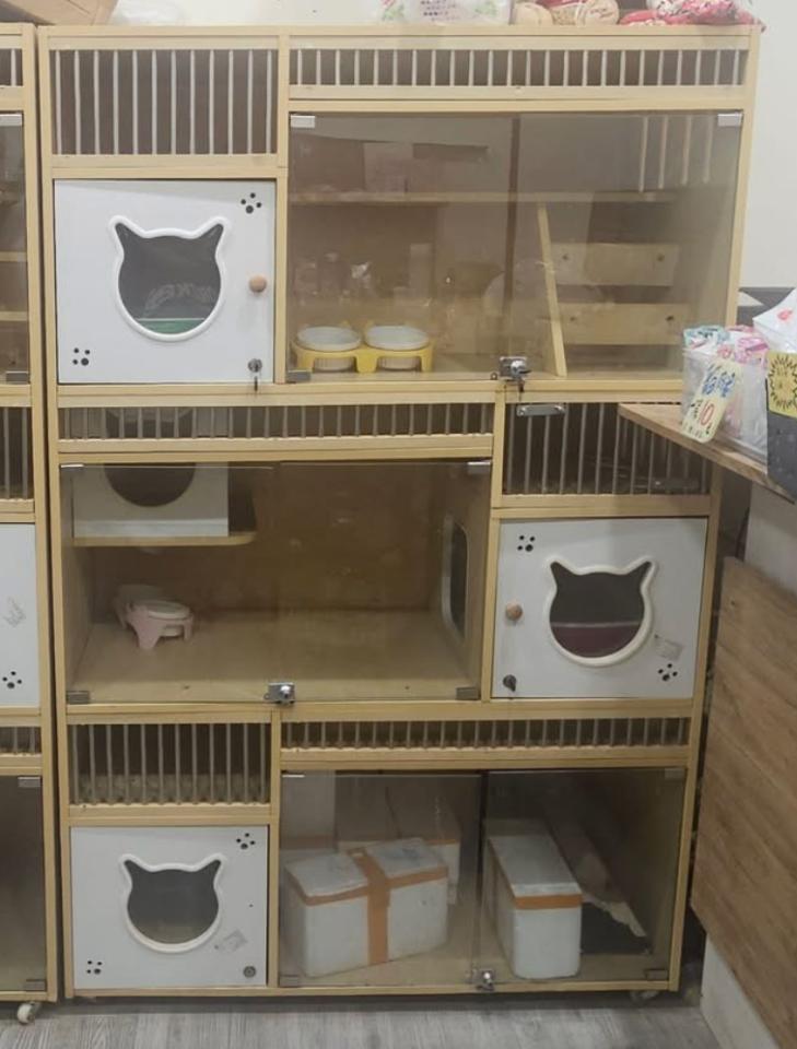 載貨運輸服務案件圖片