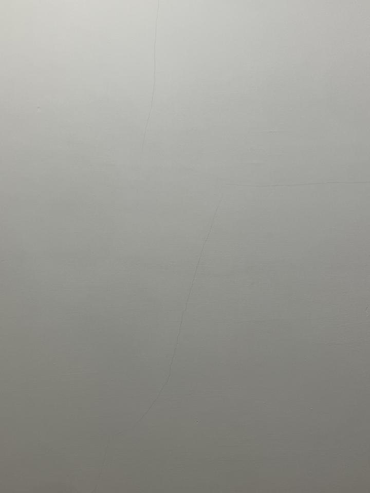 油漆工程案件圖片