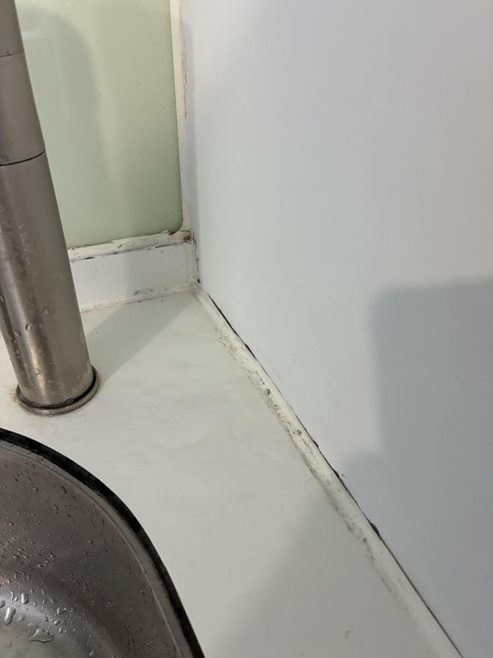 浴室除霉清潔案件圖片