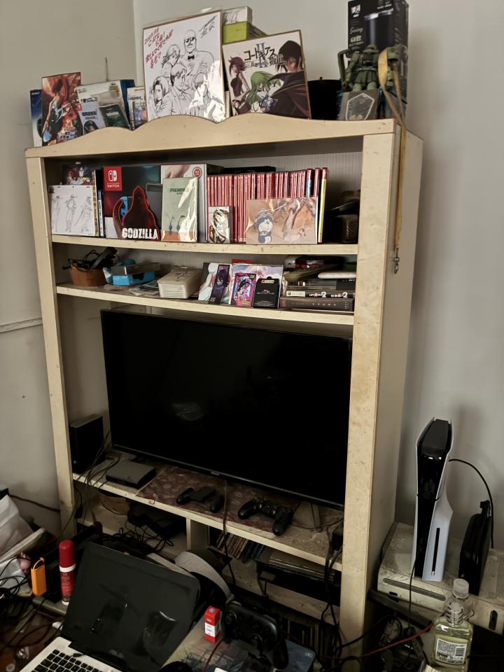 大型垃圾回收案件圖片