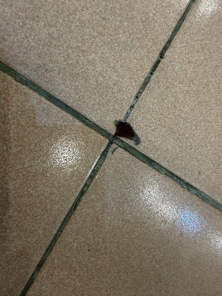 磁磚修補案件圖片