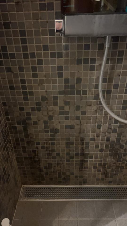 浴室除霉清潔案件圖片