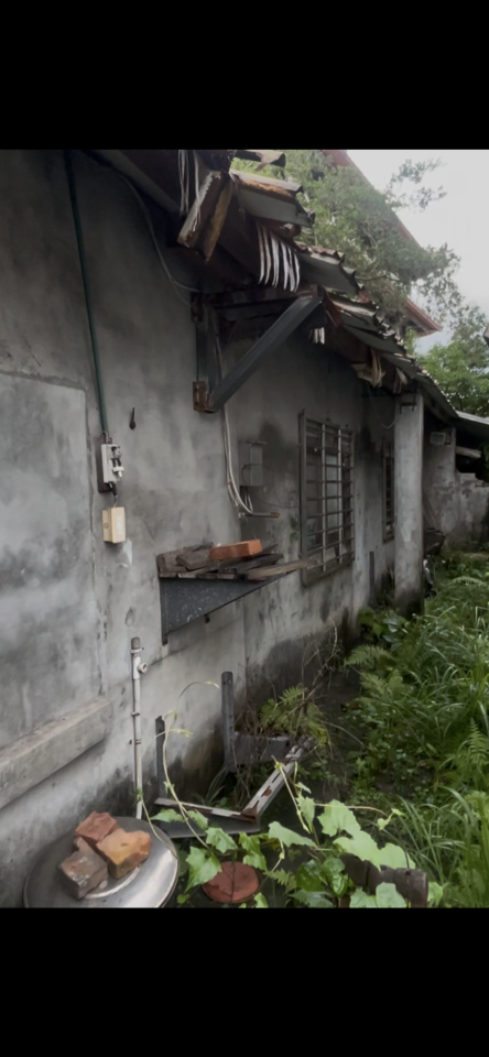 鐵皮屋頂案件圖片