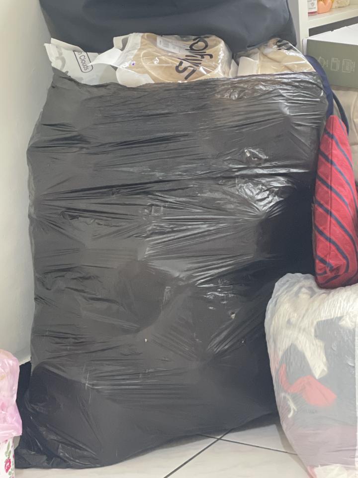 載貨運輸服務案件圖片