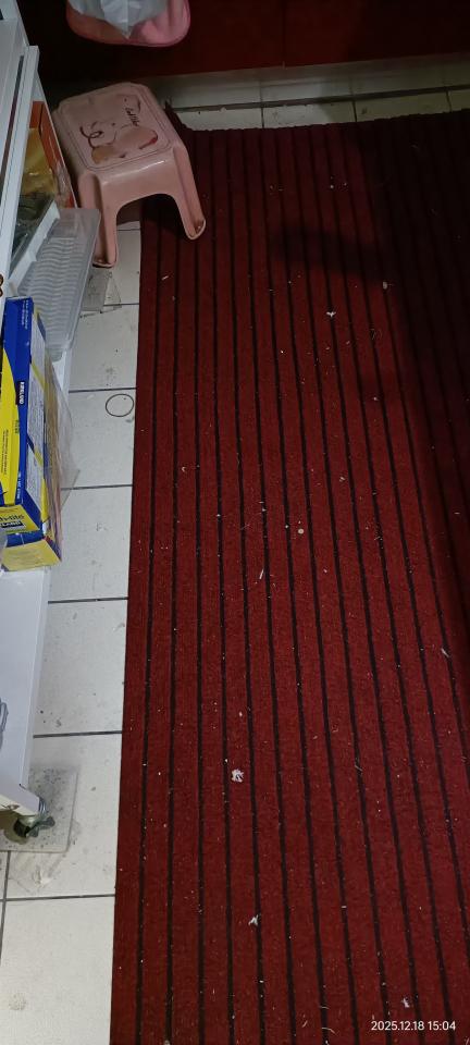 地板施工案件圖片