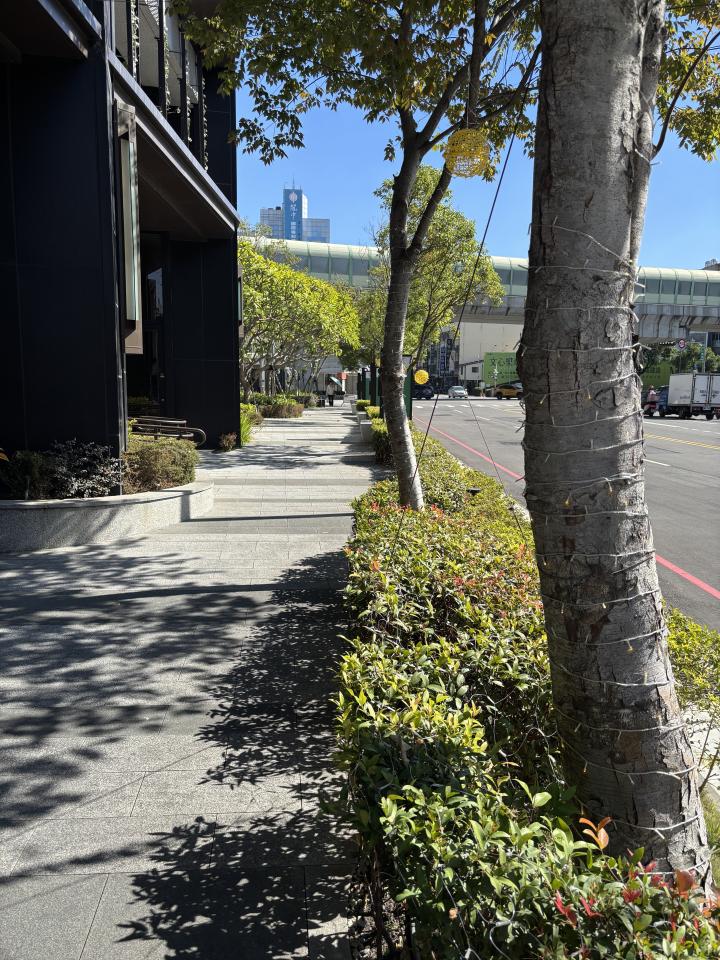 園藝維護案件圖片