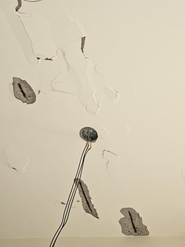 鋼筋外露處理案件圖片