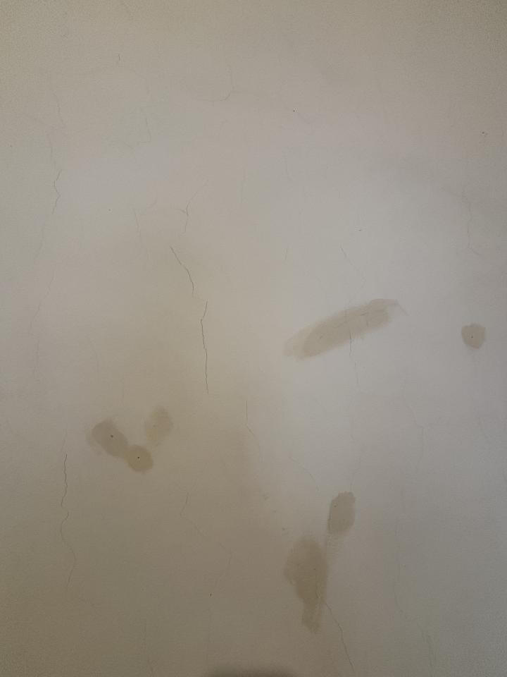 油漆工程案件圖片