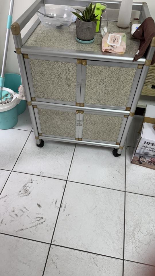 大型垃圾回收案件圖片