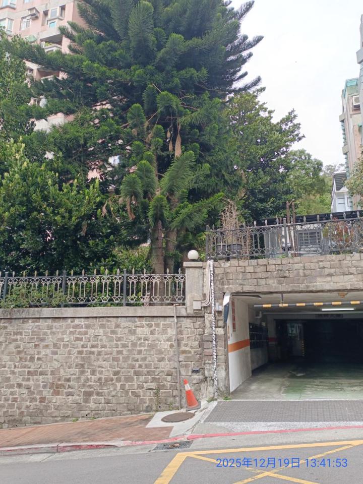 園藝維護案件圖片