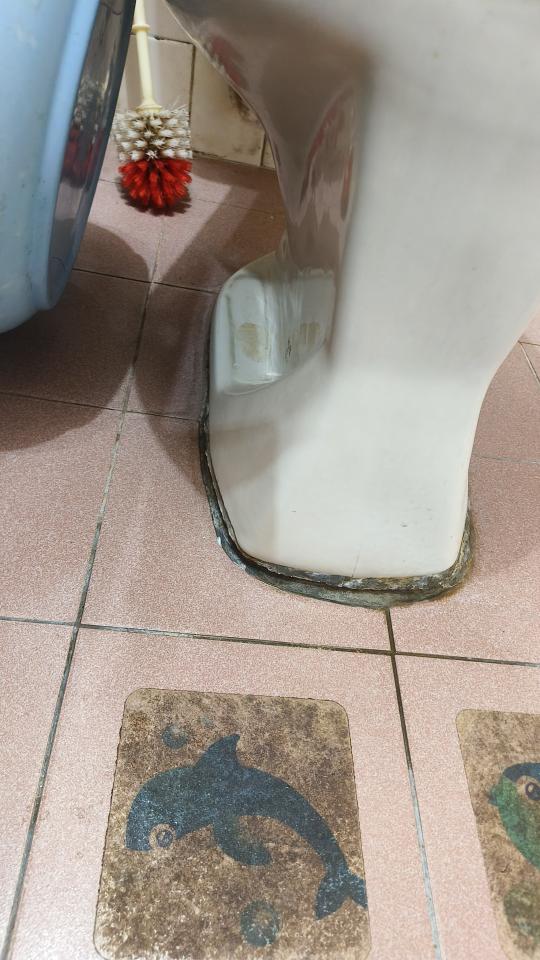 馬桶裝修案件圖片