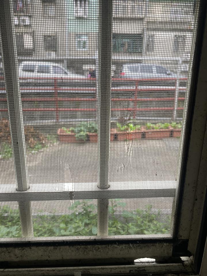 紗窗裝修案件圖片