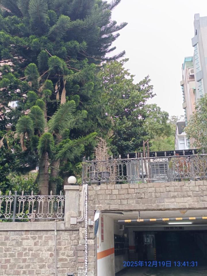 園藝維護案件圖片