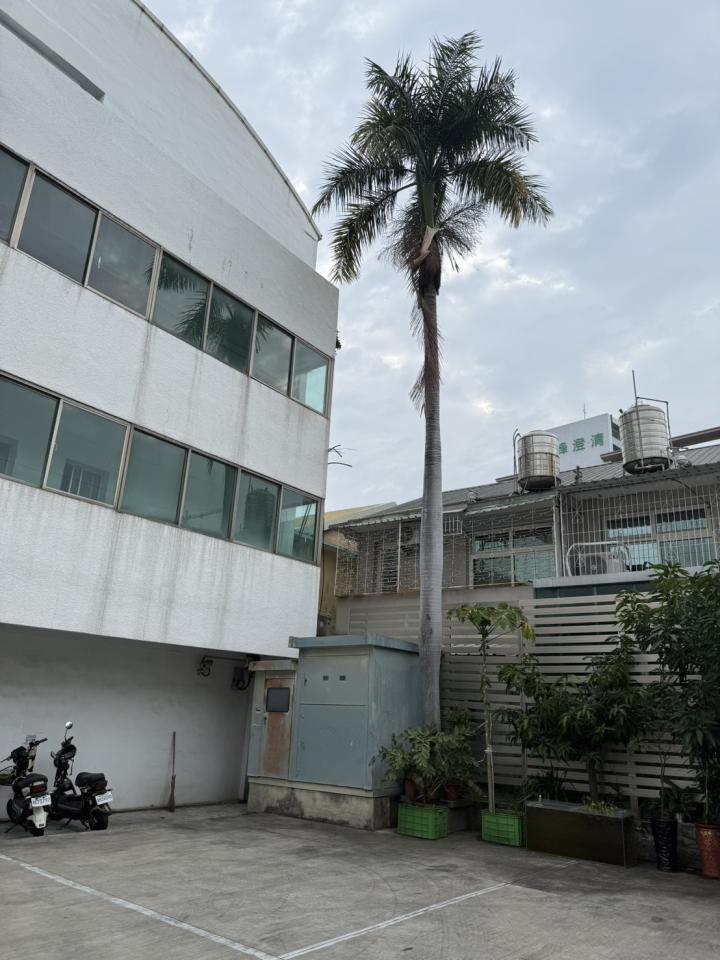 園藝維護案件圖片