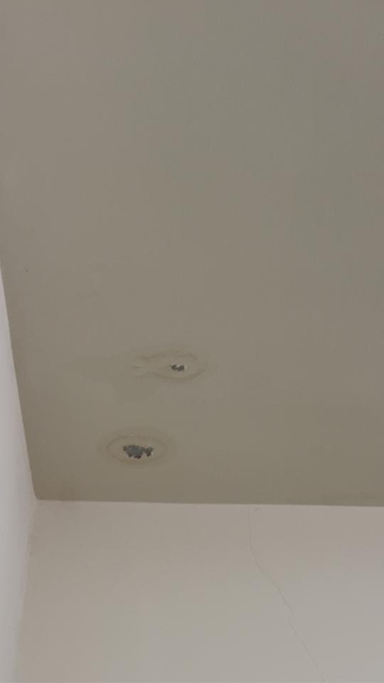 泥作/水泥施工案件圖片