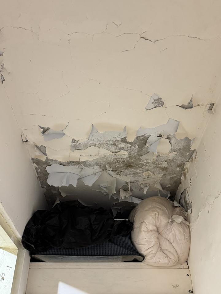 油漆工程案件圖片