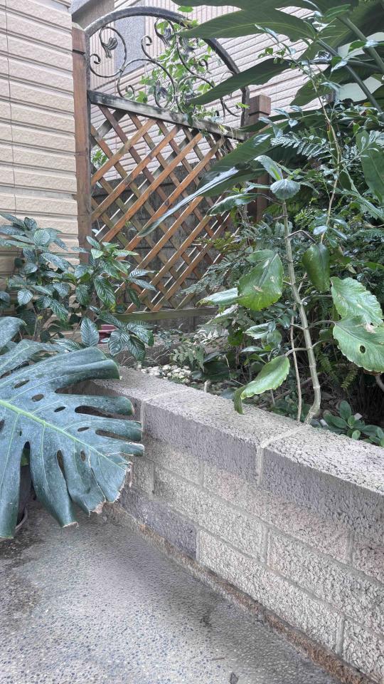 泥作/水泥施工案件圖片