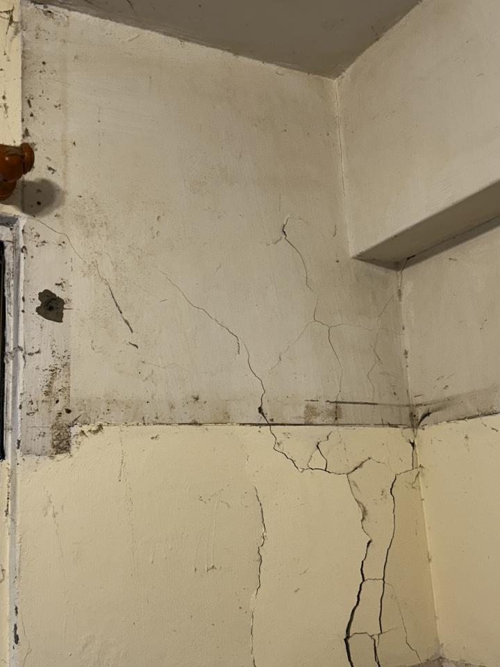 泥作/水泥施工案件圖片