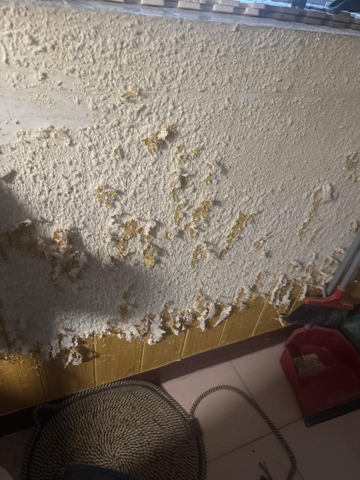 壁紙清除案件圖片