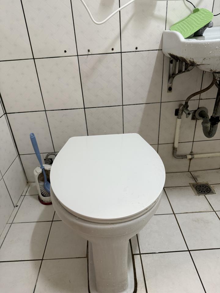 馬桶裝修案件圖片