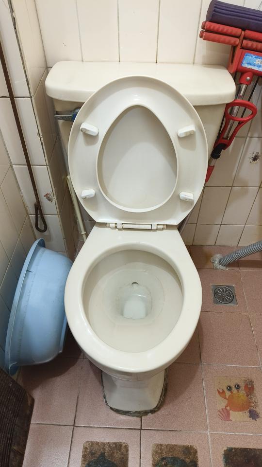 馬桶裝修案件圖片