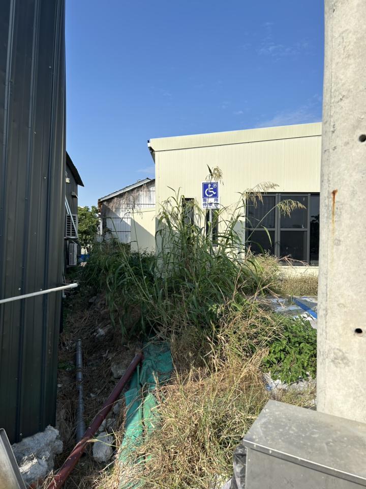 園藝維護案件圖片