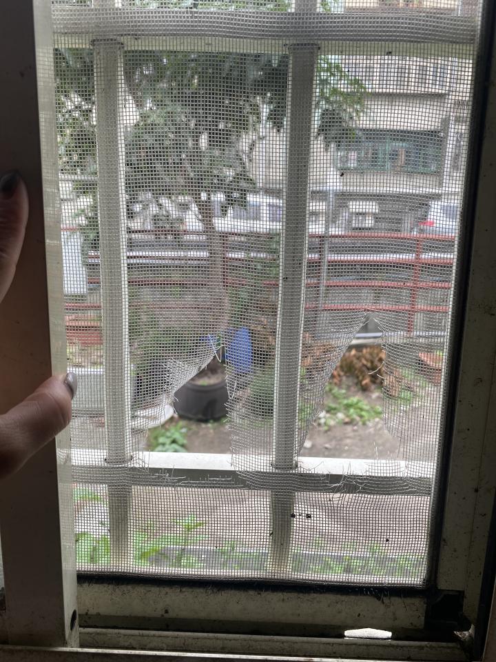 紗窗裝修案件圖片