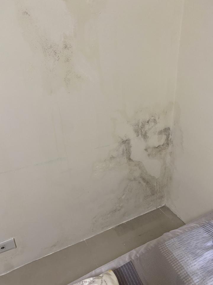 漏水處理案件圖片