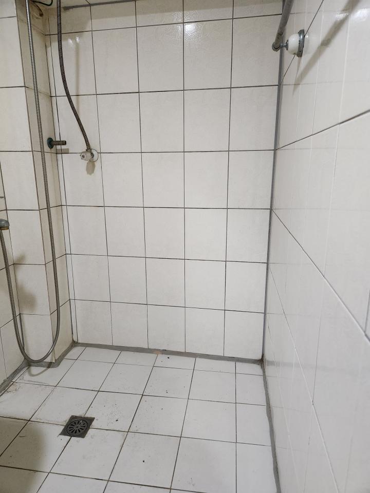 鐵皮屋頂案件圖片