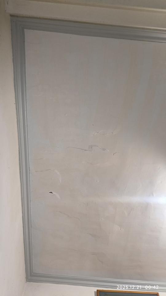 鋼筋外露處理案件圖片