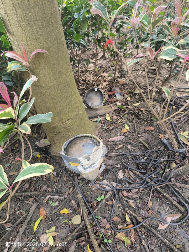 燈具安裝案件圖片