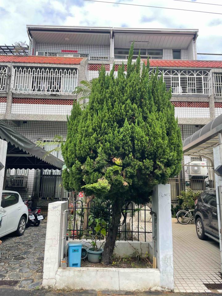 園藝維護案件圖片