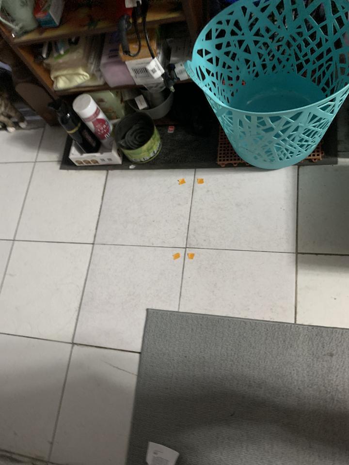 磁磚修補案件圖片