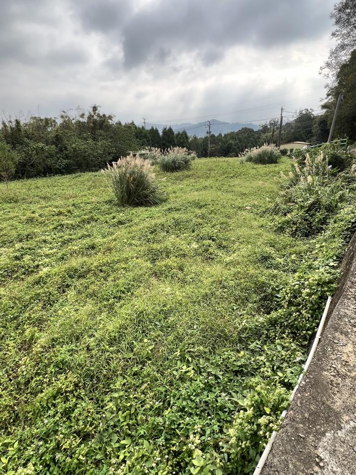 園藝維護案件圖片