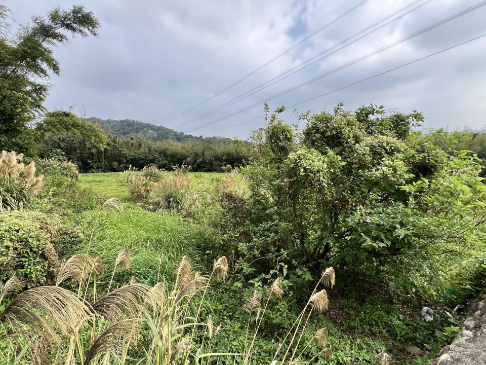 園藝維護案件圖片