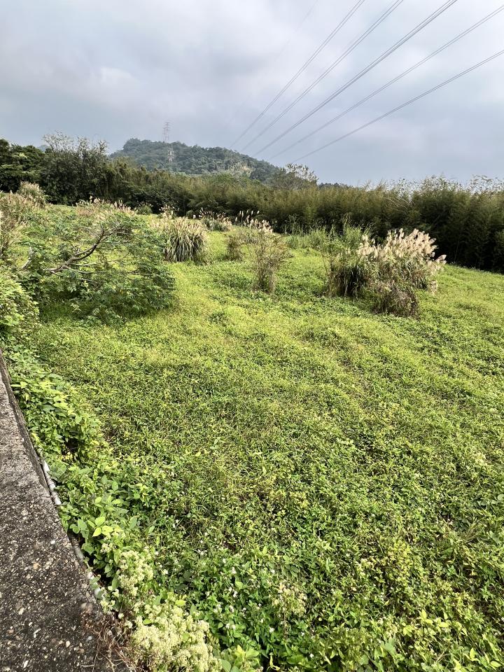 園藝維護案件圖片