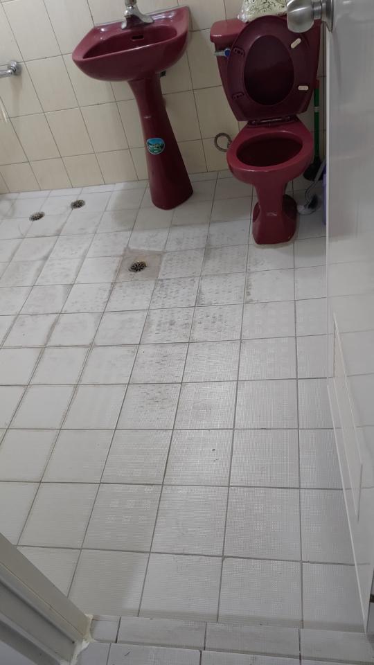 浴室翻新案件圖片