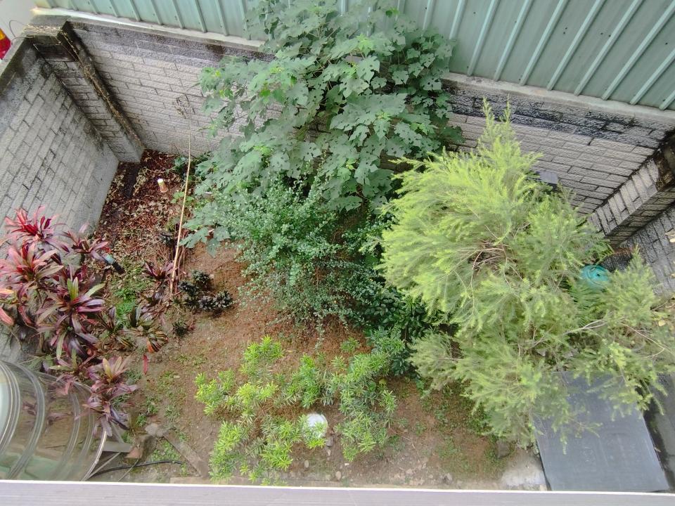 園藝設計案件圖片