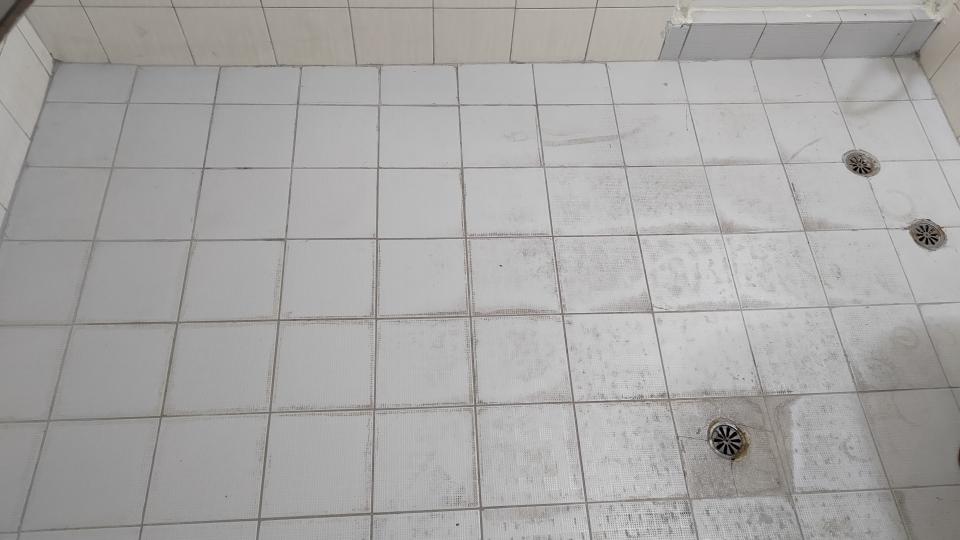 浴室翻新案件圖片