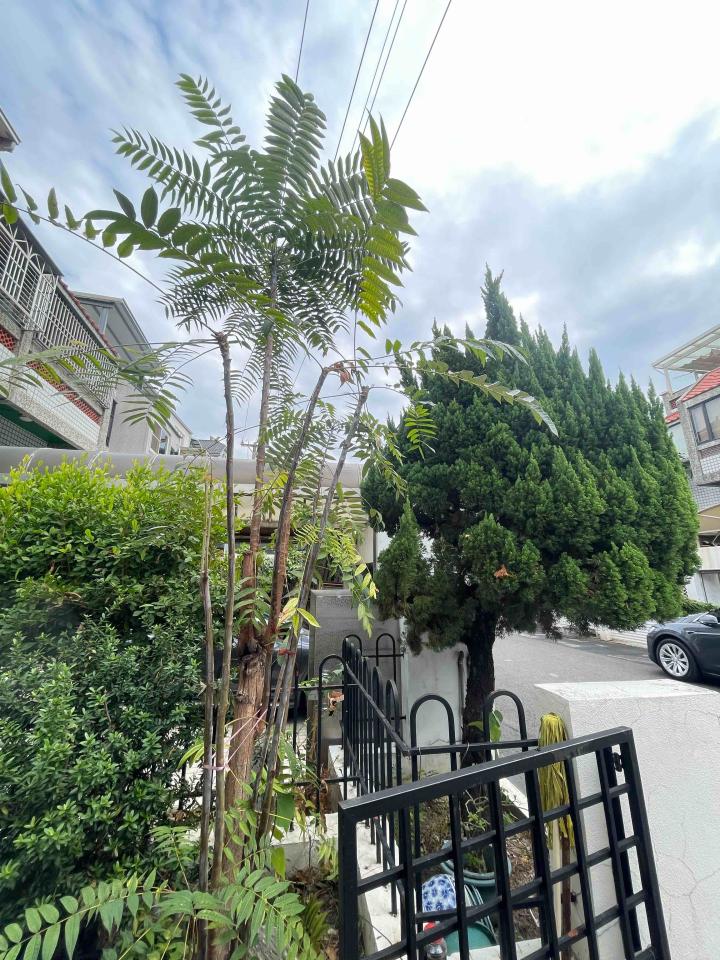 園藝維護案件圖片