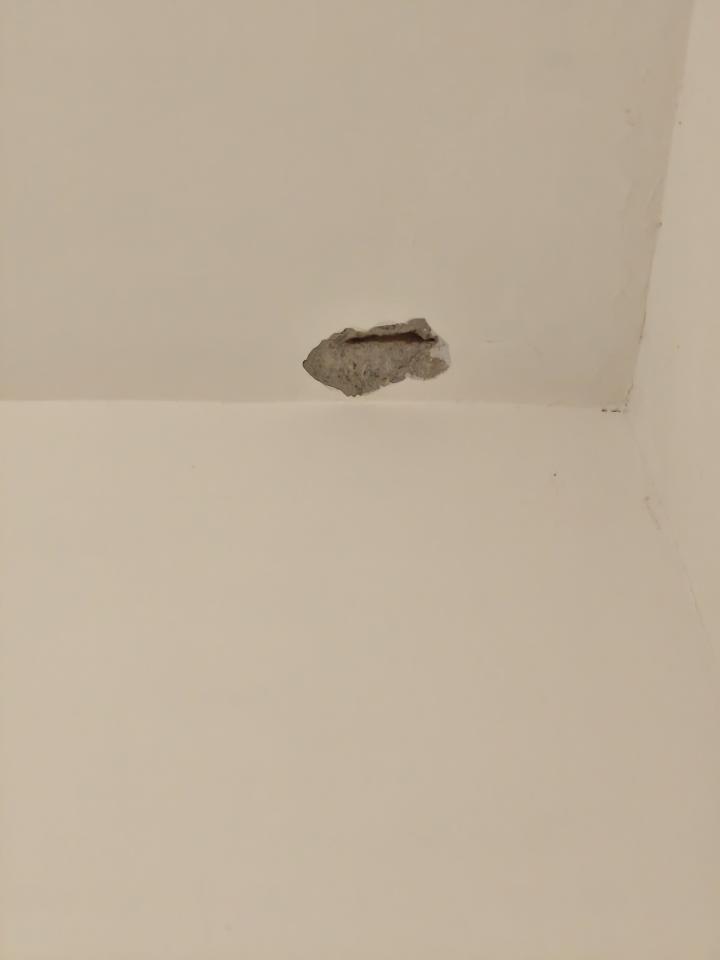 泥作/水泥施工案件圖片