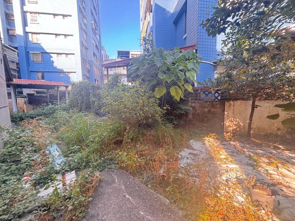 園藝維護案件圖片