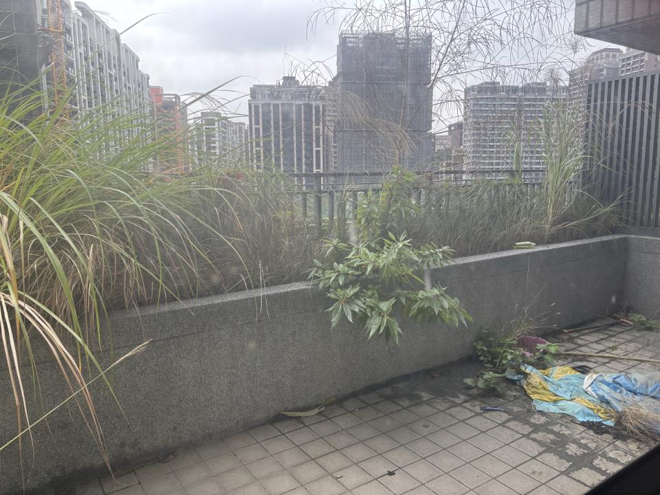 園藝維護案件圖片