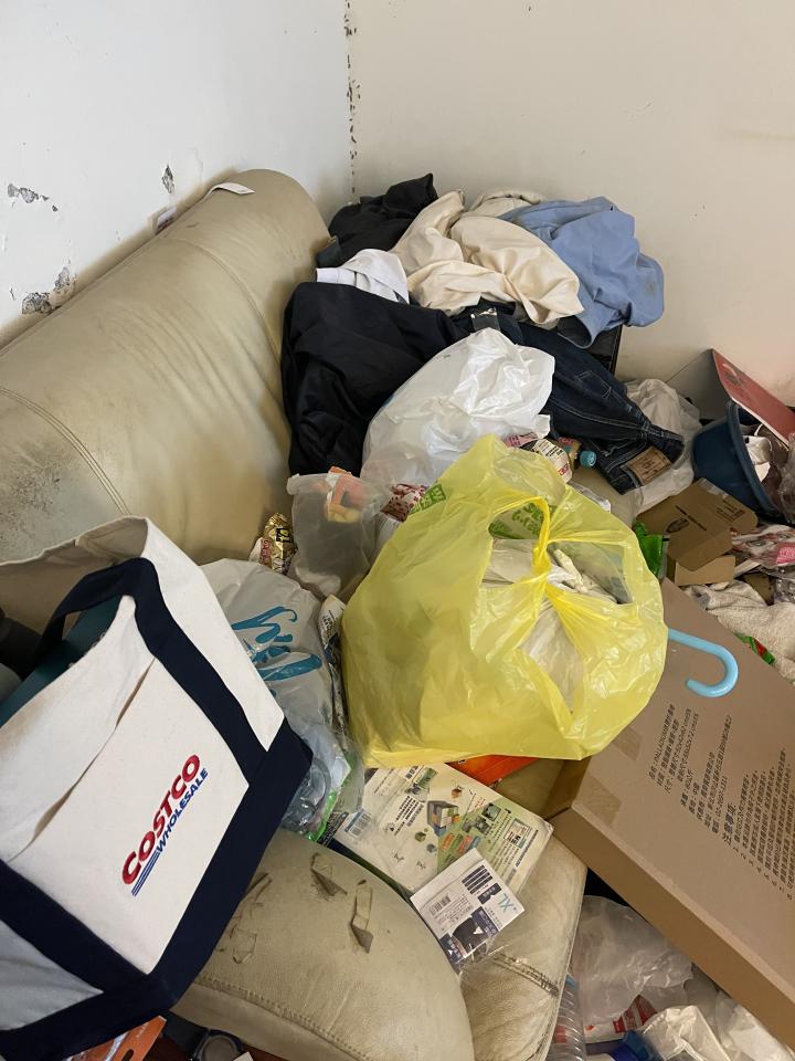 大型垃圾回收案件圖片