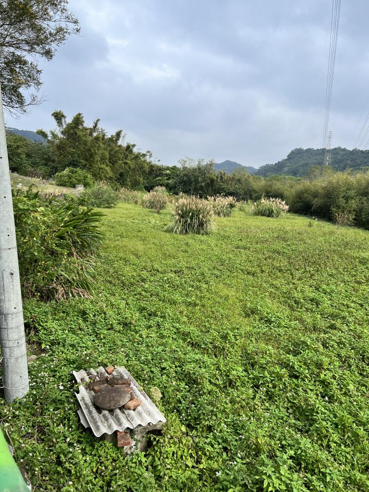 園藝維護案件圖片