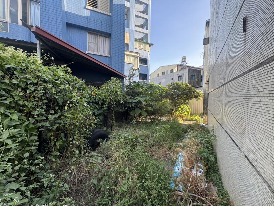 園藝維護案件圖片