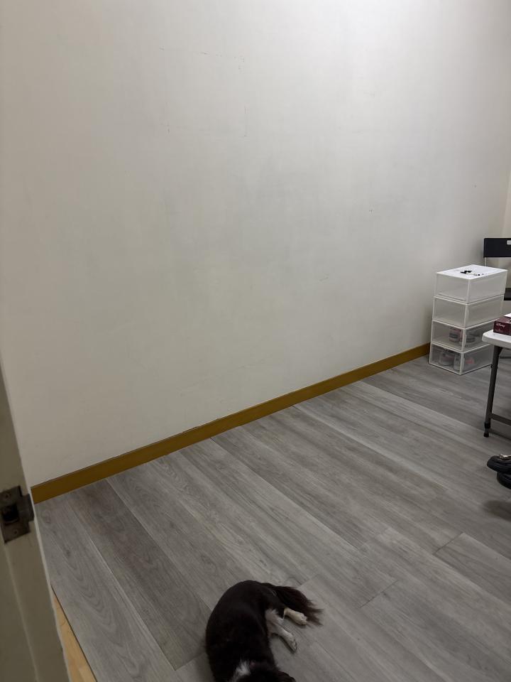 鋼琴搬運案件圖片